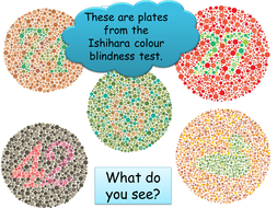 Year 9 Biology - Variation, DNA, Genes, Evolution + Natural selection