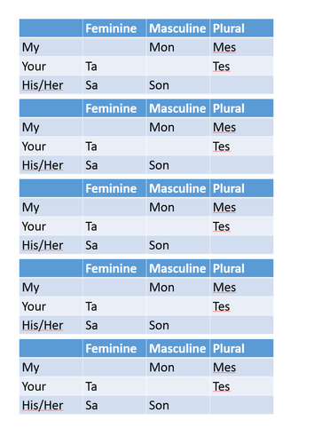 Y7 French Possessive Pronouns Teaching Resources
