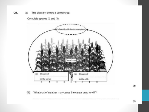 New GCSE AQA B4 Organising animals and plants | Teaching Resources