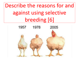 Science extended writing- selective breeding | Teaching Resources