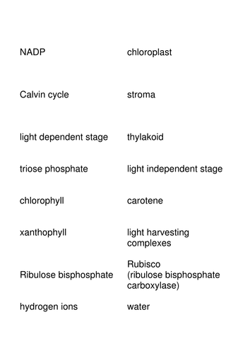 A2 Photosynthesis Word Sorting Activity