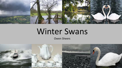 GCSE AQA Anthology Poem 'Winter Swans' analysis | Teaching Resources