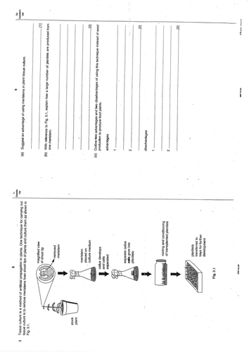 pdf, 209.08 KB