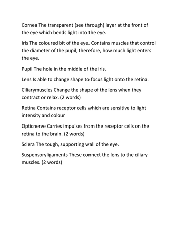 docx, 19.23 KB