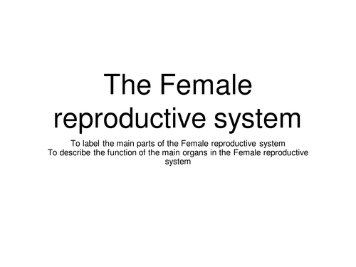 Female Reproductive System