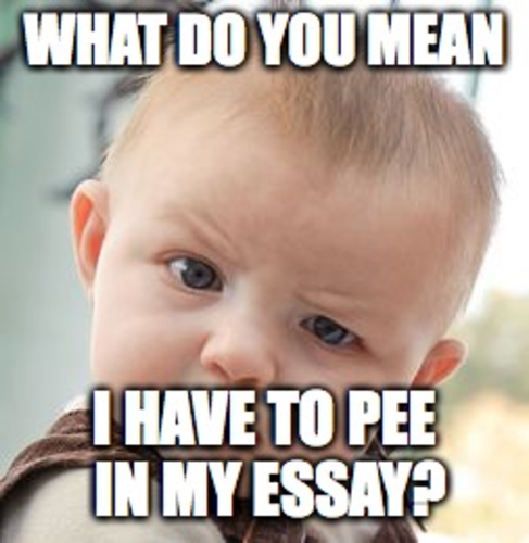 English Memes 6 Pack 4 Teaching Resources