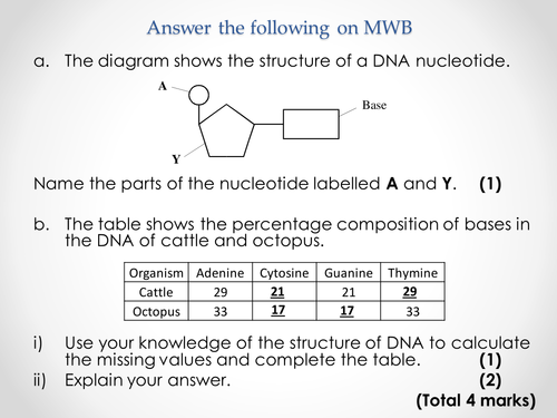 AQA AS & A-level Biology (2016 specification). Section 4 Topic 8: Protein synthesis DNA chromosomes