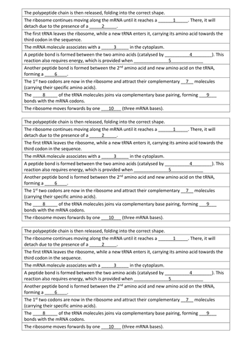 AQA AS & A-level Biology (2016 specification). Section 4 Topic 8: Protein synthesis 5 Translation