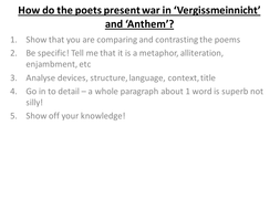 Vergissmeinnicht essay 08 picture