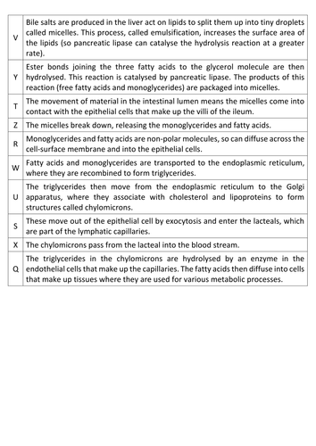 AQA A-level Biology (2016 specification). Section 3 Topic 6 Exchange. 10 Lipid digestion