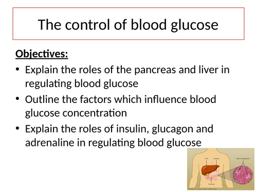 Blood glucose control - insulin and glucagon | Teaching Resources