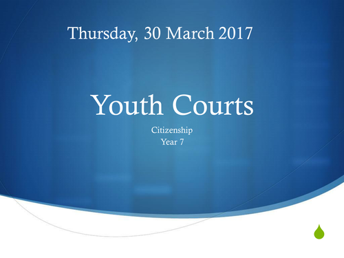 Youth Court System
