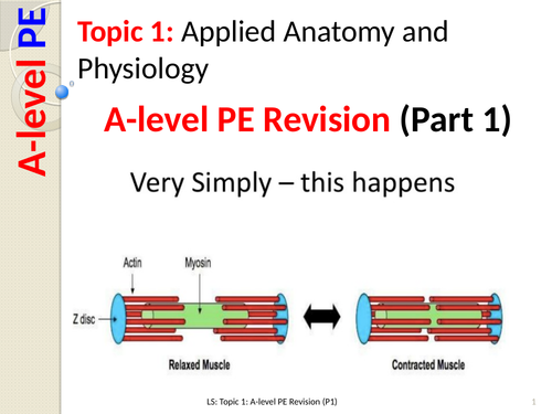 A-level PE EDXECEL (Spec 2016) Bones and Muscle Contraction Revision Lesson