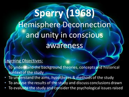Sperry | Teaching Resources