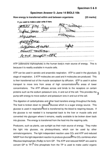 aqa biology 25 mark essay mark scheme
