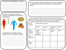 Photosynthesis, Respiration and Homeostasis worksheets NEW GCSE Biology