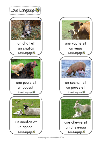 French Living Things Adult And Baby Animals Vocabulary Cards Teaching Resources