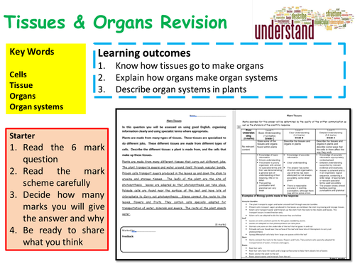 GCSE Biology Tissues & Organs Revision Lesson | Teaching Resources