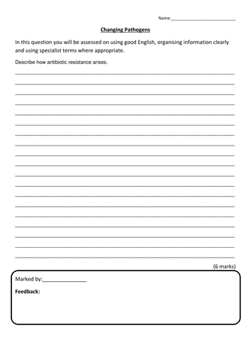 docx, 19.11 KB