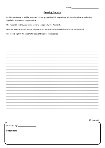 docx, 19.74 KB