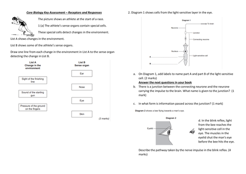 AQA Core Biology GCSE Revision | Teaching Resources