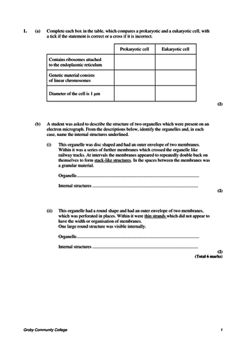 Latest 212-82 Exam Pdf