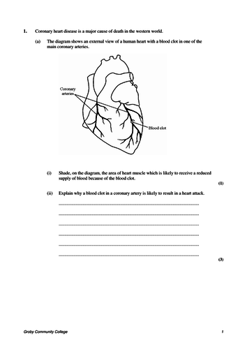 212-82 Formal Test