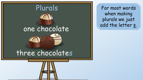 plural homework meaning