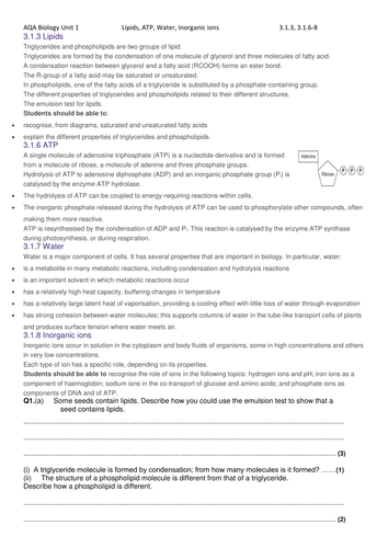 AQA Biology A level/AS level Unit 1 Revision Biological Molecules ...