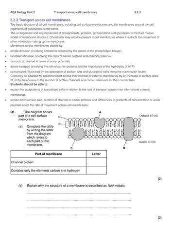 docx, 71.57 KB