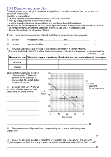 AQA Biology A level/AS level Unit 3 Revision Exchange and transport ...