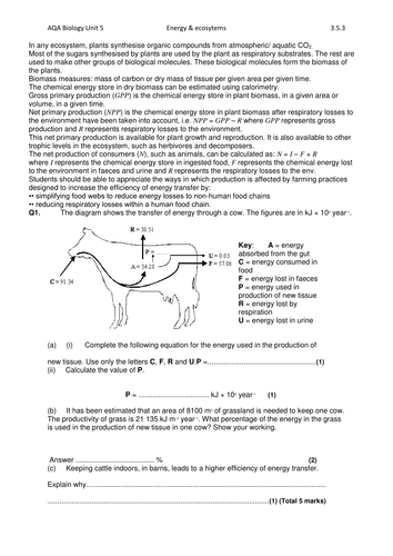 a level biology essay energy transfer