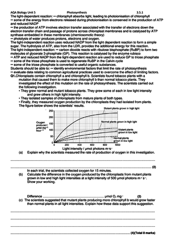 docx, 130.95 KB