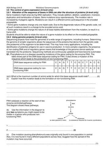 docx, 56.04 KB