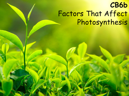 Edexcel CB6b Factors That Affect Photosynthesis