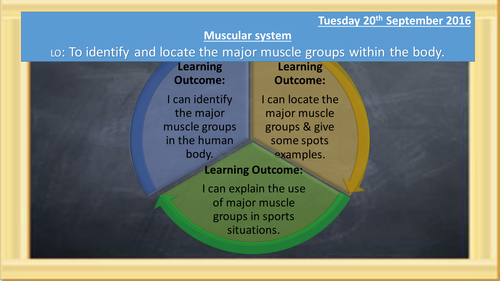 OCR GCSE PE (1-9) 1.2 Structure & Function of the Muscular System ...