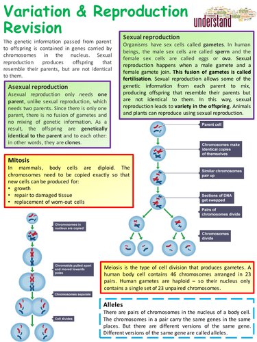 KS4 GCSE Biology Variation & Reproduction Revision Lesson | Teaching ...