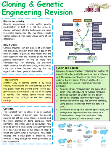 KS4 GCSE Biology Variation & Reproduction Revision Lesson | Teaching ...