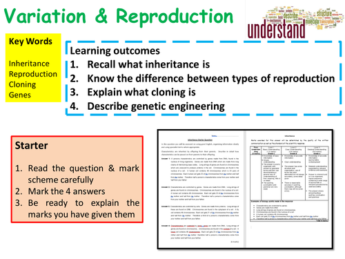 KS4 GCSE Biology Variation & Reproduction Revision Lesson | Teaching ...
