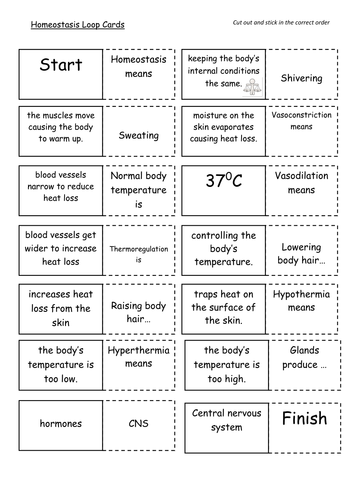 KS3 or KS4 Organs and Cells including homeostasis loop game for whole ...