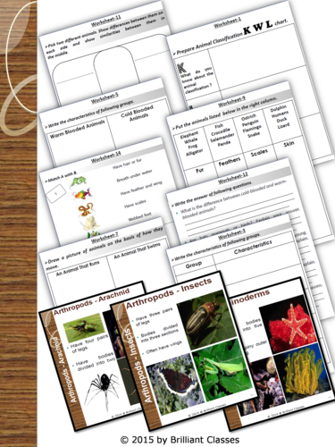 Animals Classification - Whole animal kingdom with Worksheets ...
