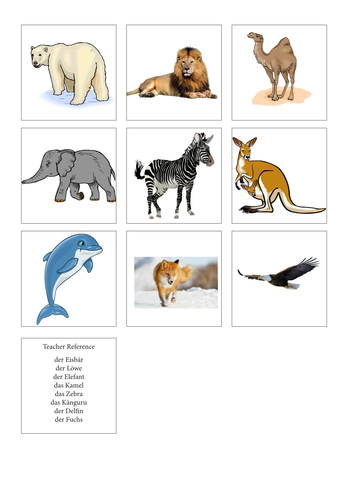 German Vocabulary - Tiere/Animals | Teaching Resources