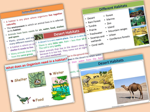 Animal Habitats - Unit with Worksheets | Teaching Resources