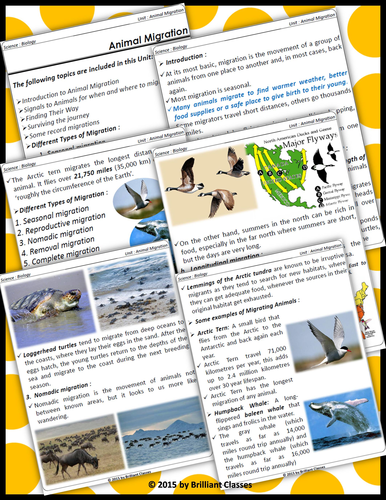 Animal Migration - Unit with Worksheets | Teaching Resources