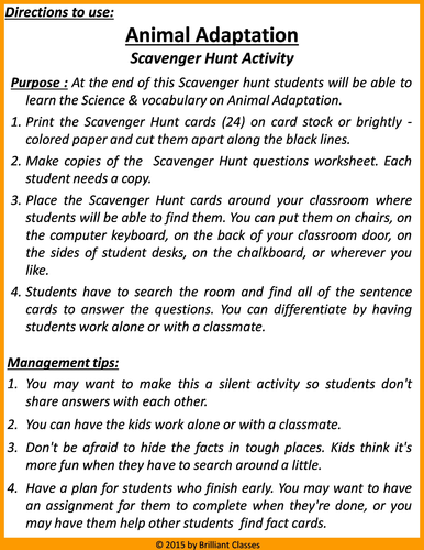 Animal Adaptation Fact Writing Sheets (Teacher-Made)