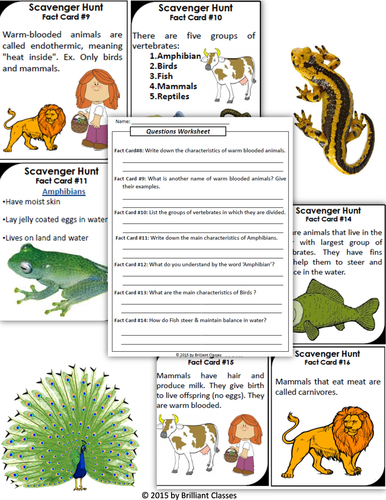Animals Classification Scavenger Hunt | Teaching Resources