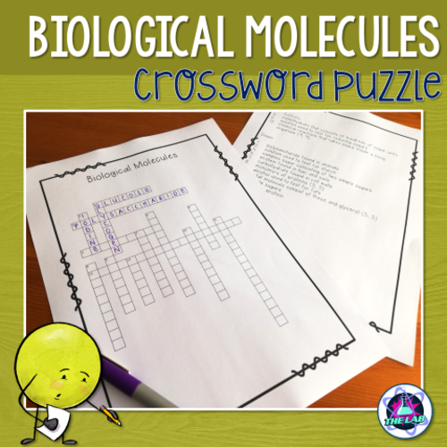 Biological Molecules Crossword Puzzle