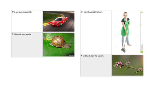 Year 2 Quality Text English Planning For New Curriculum - Stellaluna ...
