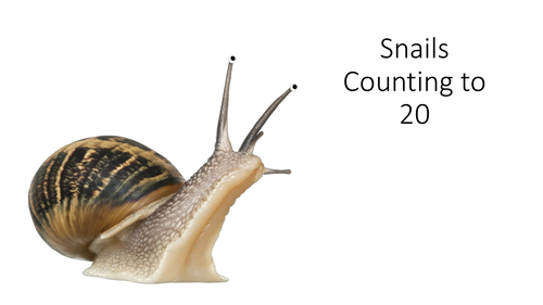 Snails Counting to 20