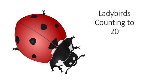 Ladybirds Counting to 20